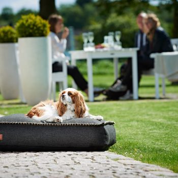 SACKit 04 06 20150356