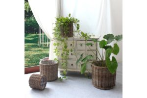 dekoratívne prútené kvetináče