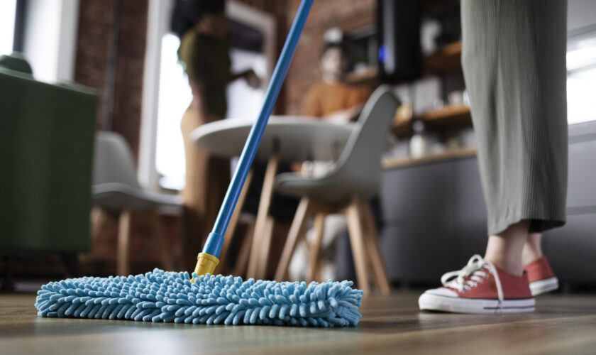 roommates-cleaning-home-together